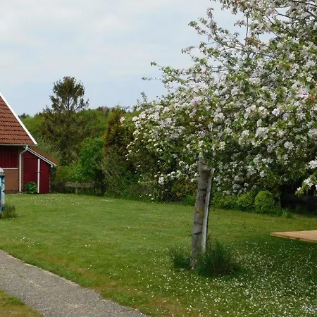 Apartment Möwenschiss Hohwacht