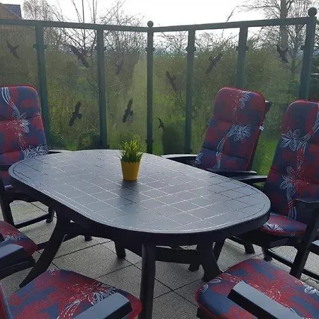 Möwenschiss Hohwacht